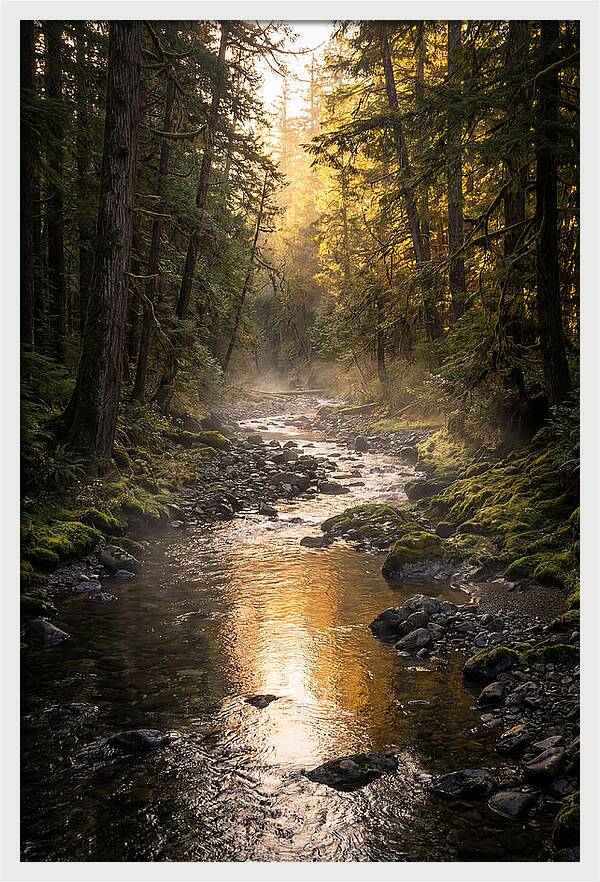 Worlds End Forest Creek