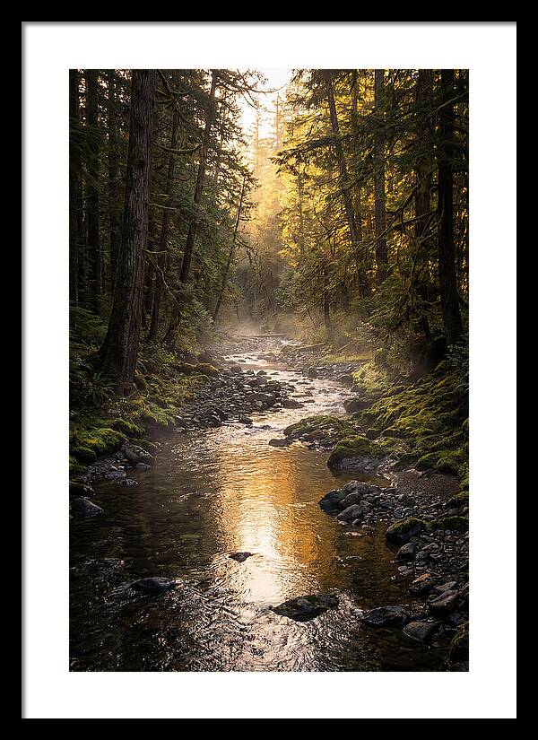 Worlds End Forest Creek