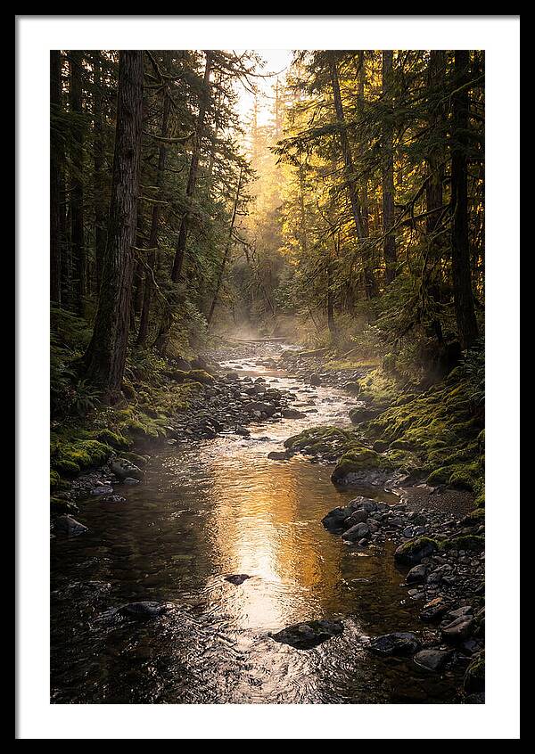 Worlds End Forest Creek