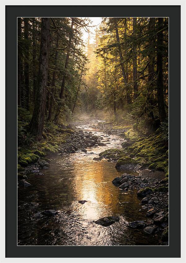 Worlds End Forest Creek