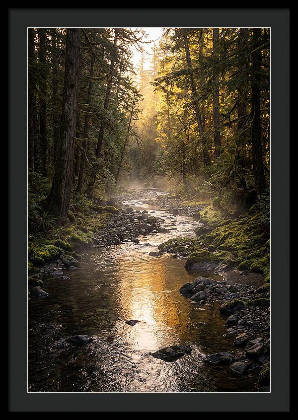 Worlds End Forest Creek
