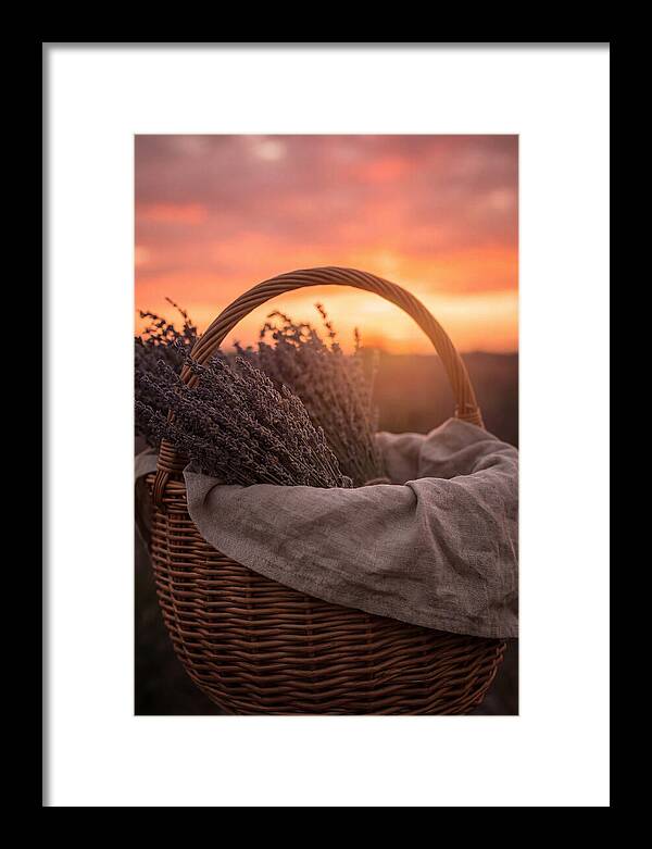 Woven Basket Of Lavender