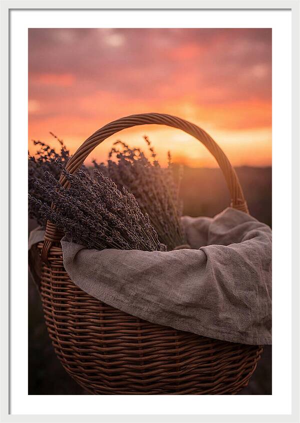 Woven Basket Of Lavender