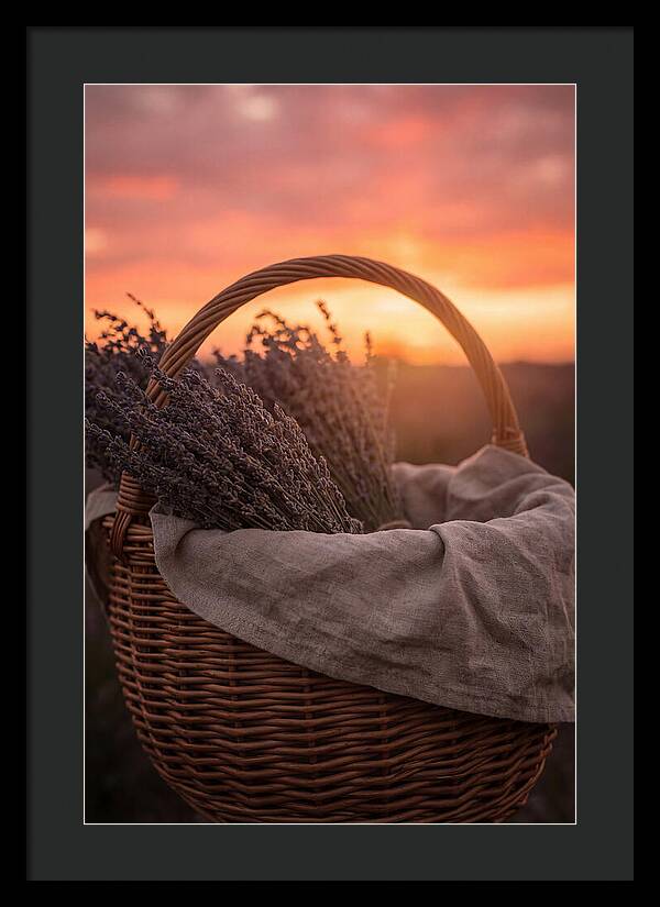 Woven Basket Of Lavender