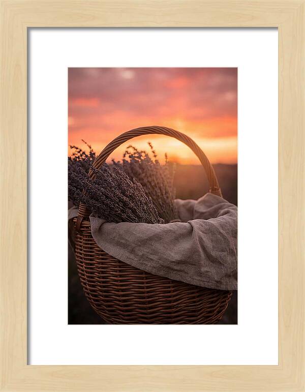 Woven Basket Of Lavender
