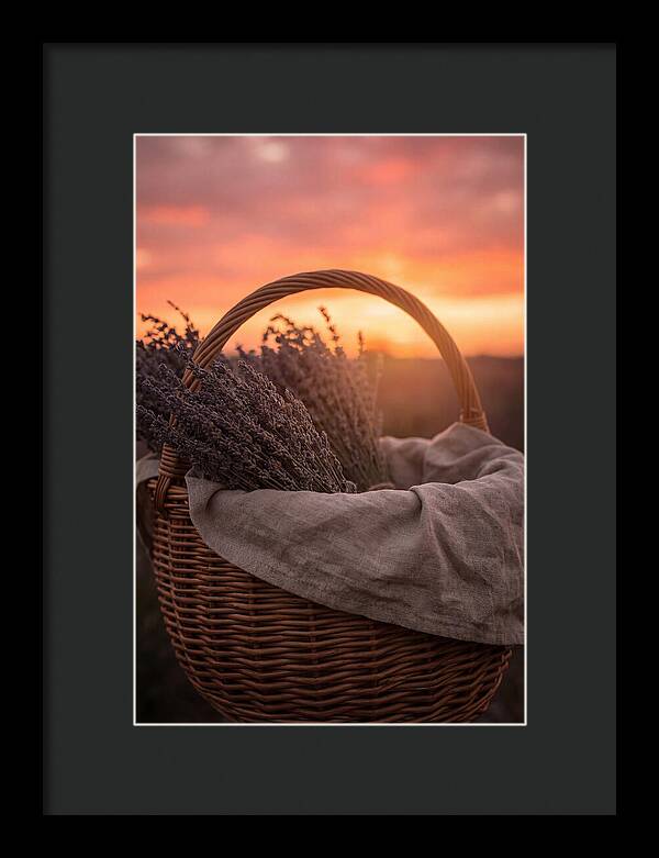 Woven Basket Of Lavender