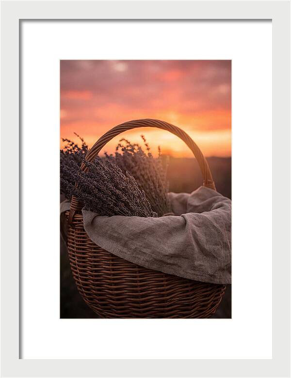 Woven Basket Of Lavender