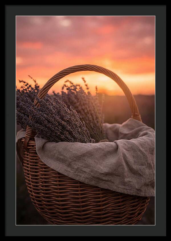 Woven Basket Of Lavender