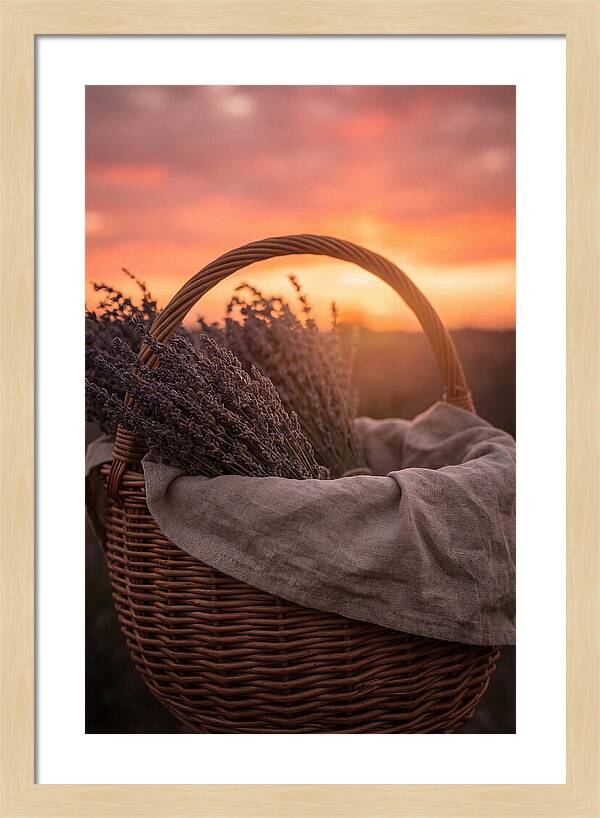 Woven Basket Of Lavender