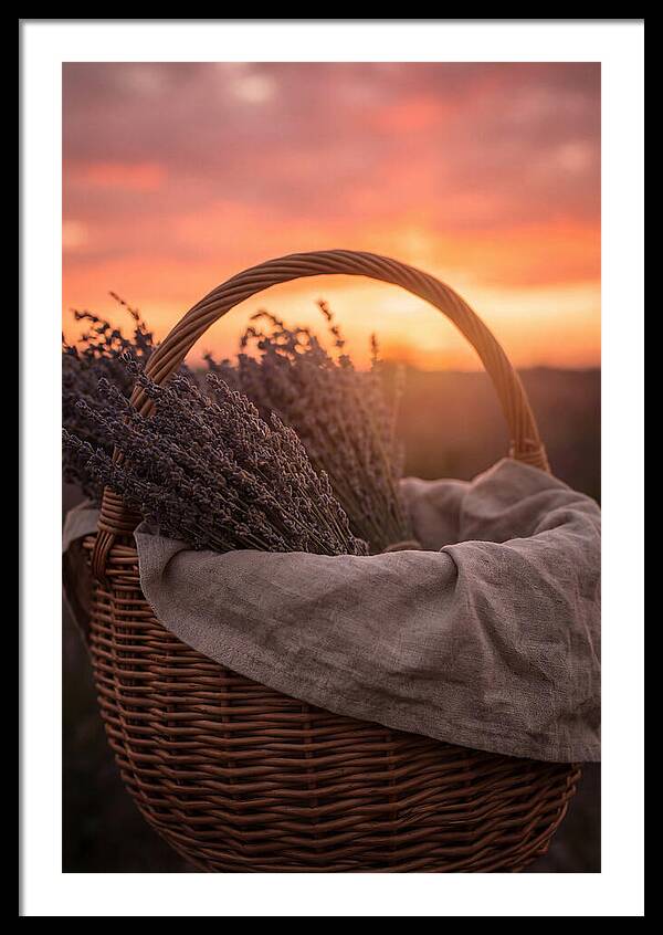 Woven Basket Of Lavender