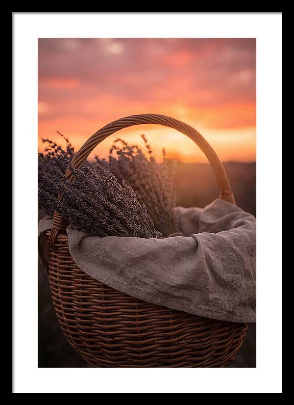 Woven Basket Of Lavender