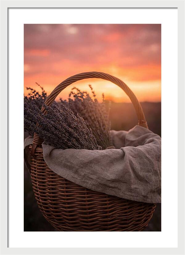 Woven Basket Of Lavender