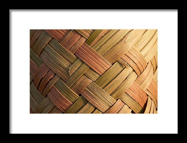 Woven Palm Leaf Texture