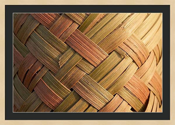 Woven Palm Leaf Texture