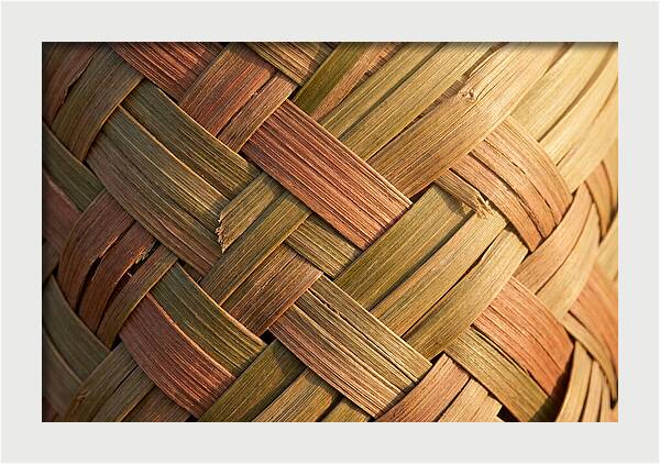 Woven Palm Leaf Texture