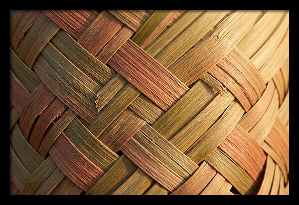 Woven Palm Leaf Texture