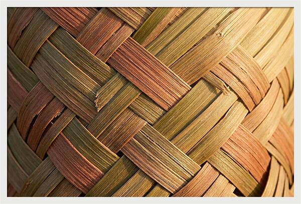 Woven Palm Leaf Texture