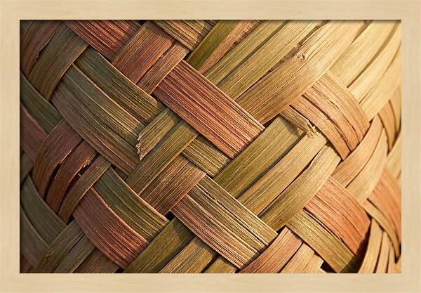 Woven Palm Leaf Texture
