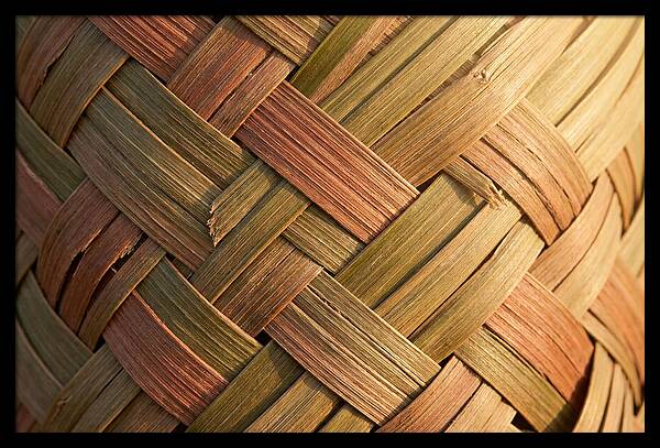 Woven Palm Leaf Texture