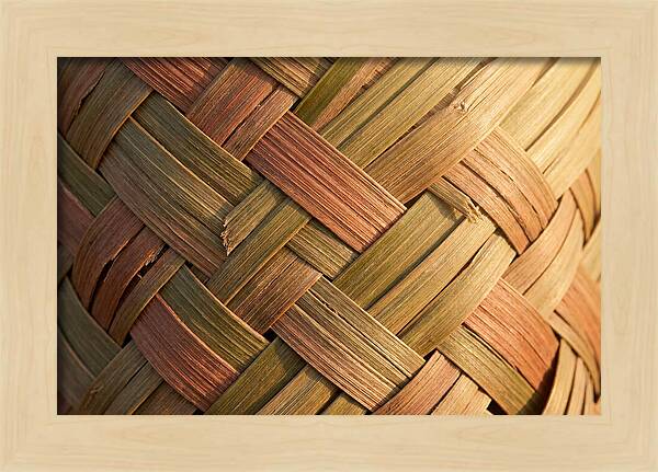Woven Palm Leaf Texture