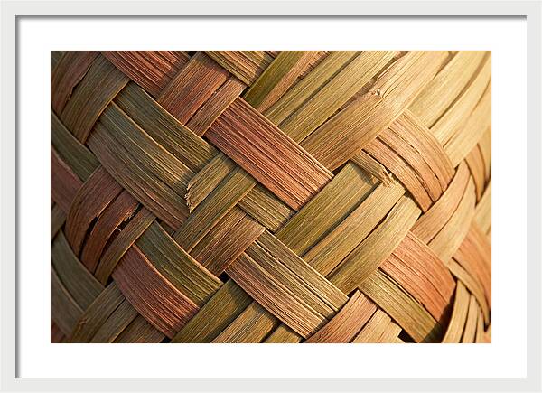 Woven Palm Leaf Texture