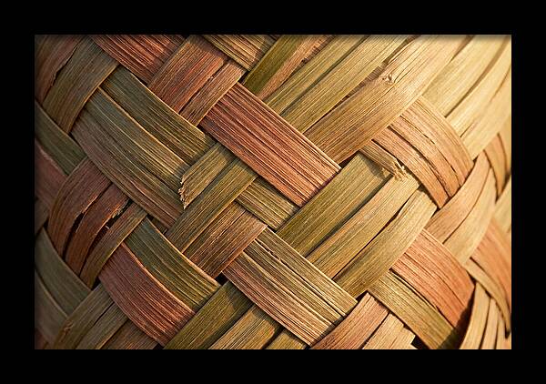 Woven Palm Leaf Texture