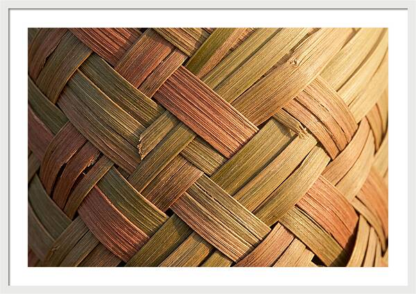 Woven Palm Leaf Texture