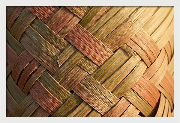 Woven Palm Leaf Texture