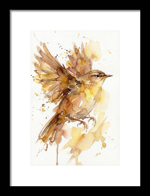 Wren In Flight