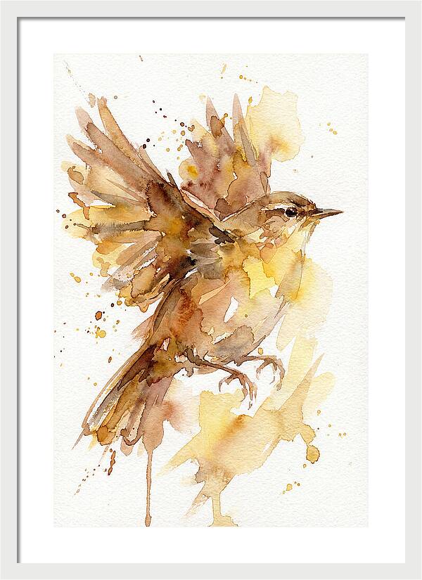 Wren In Flight