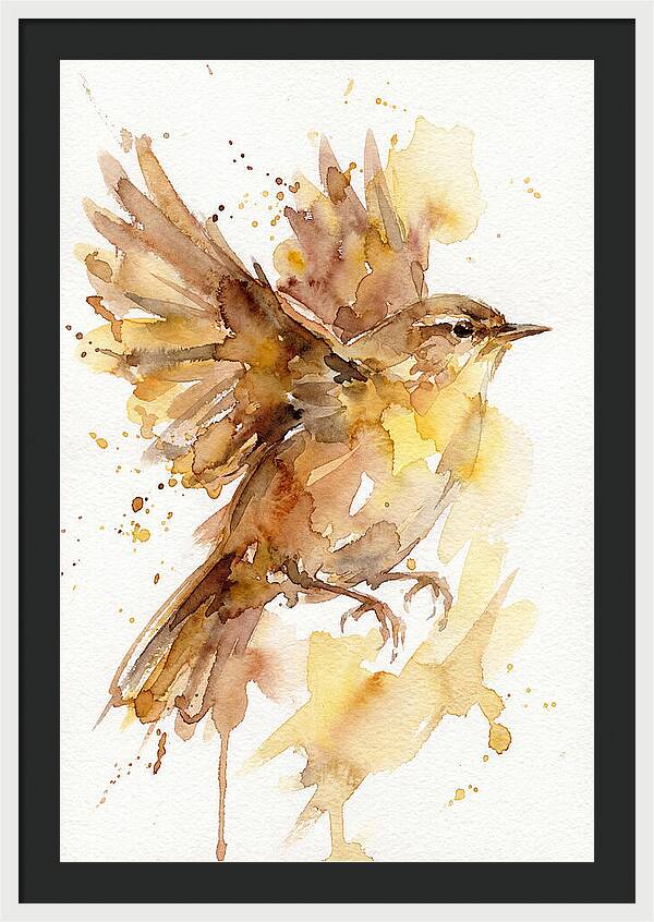 Wren In Flight