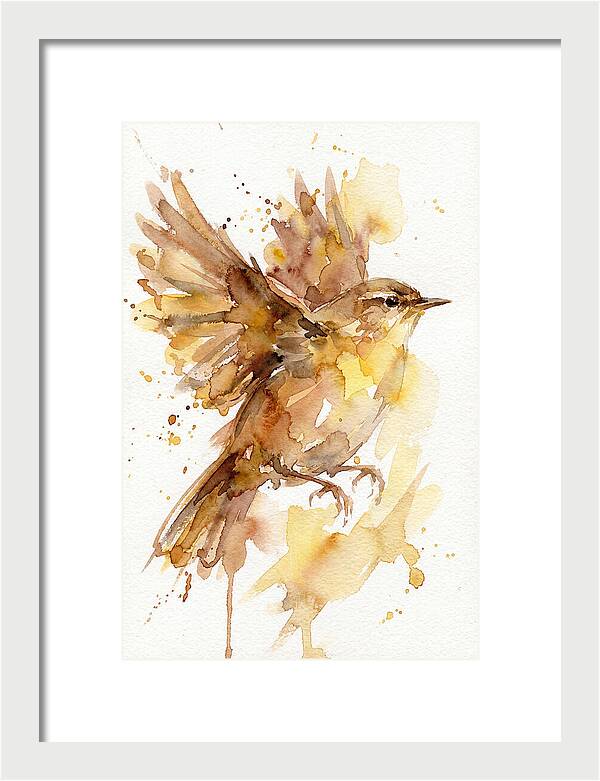 Wren In Flight
