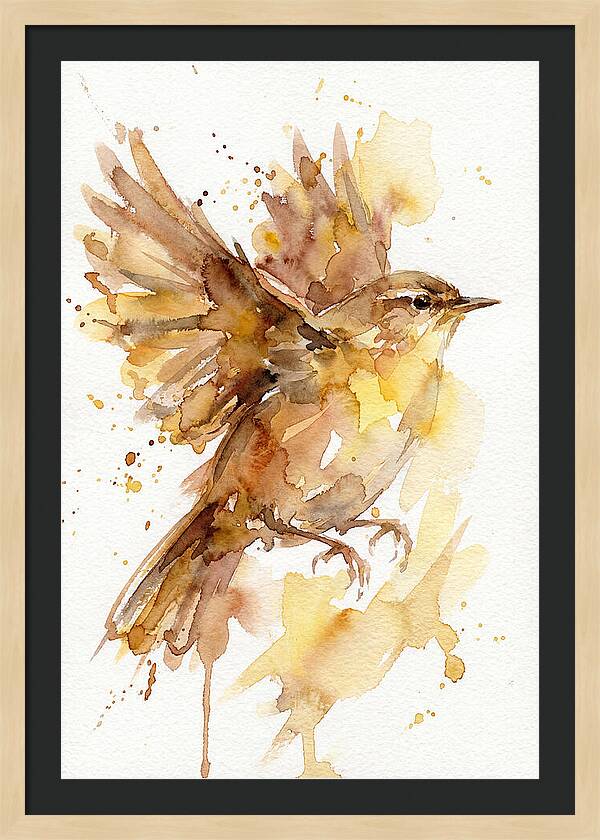 Wren In Flight