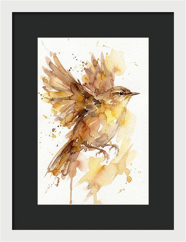 Wren In Flight