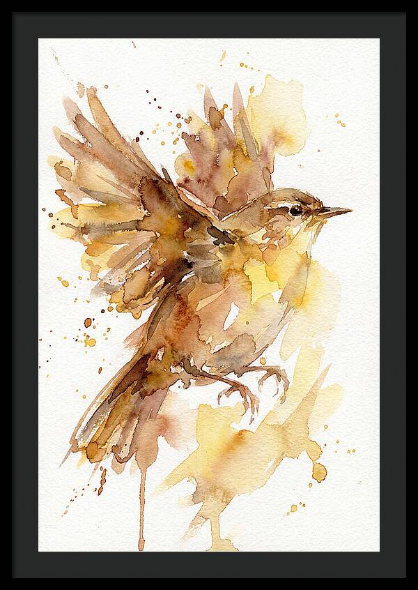 Wren In Flight