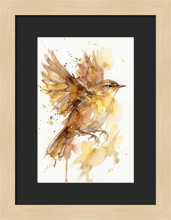 Wren In Flight