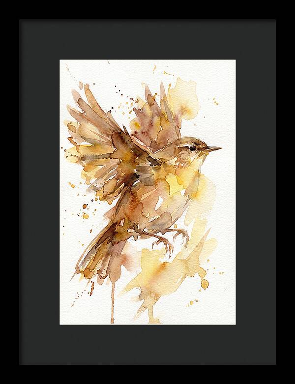 Wren In Flight