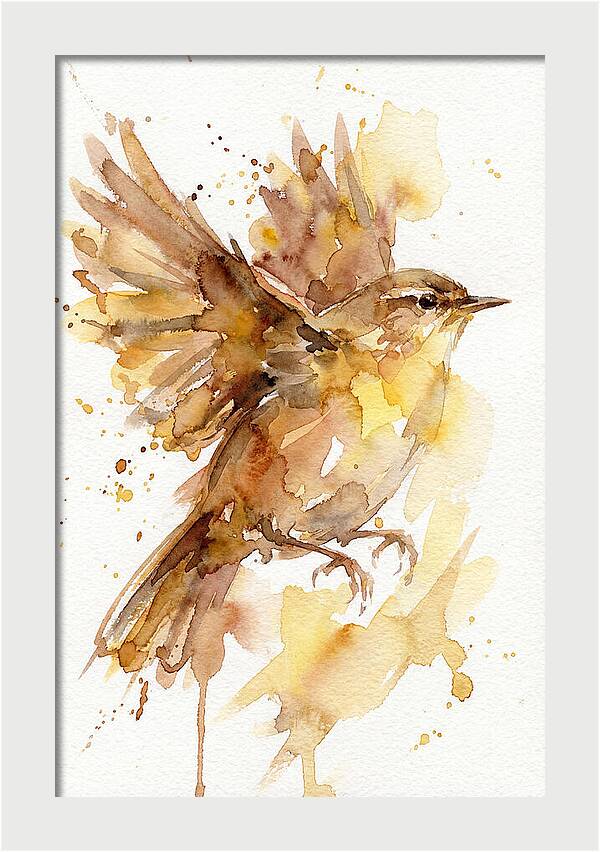 Wren In Flight