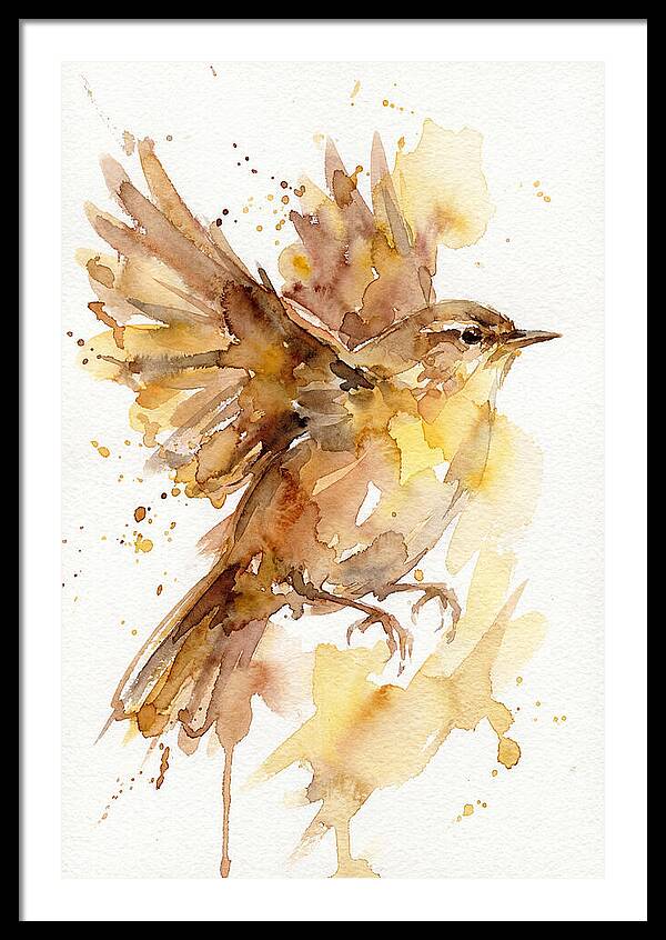 Wren In Flight