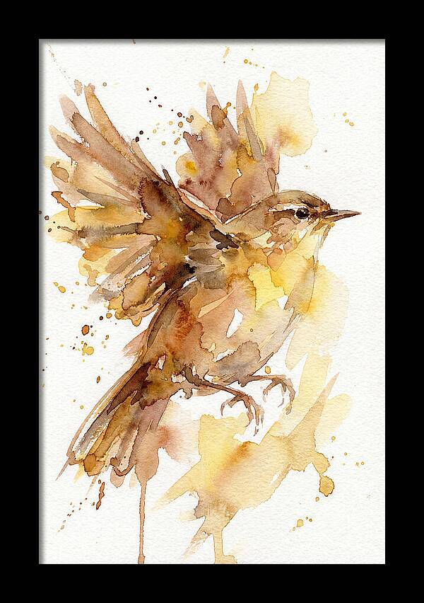 Wren In Flight