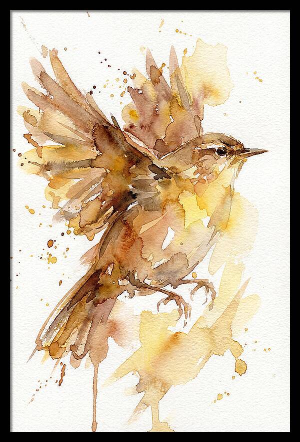 Wren In Flight