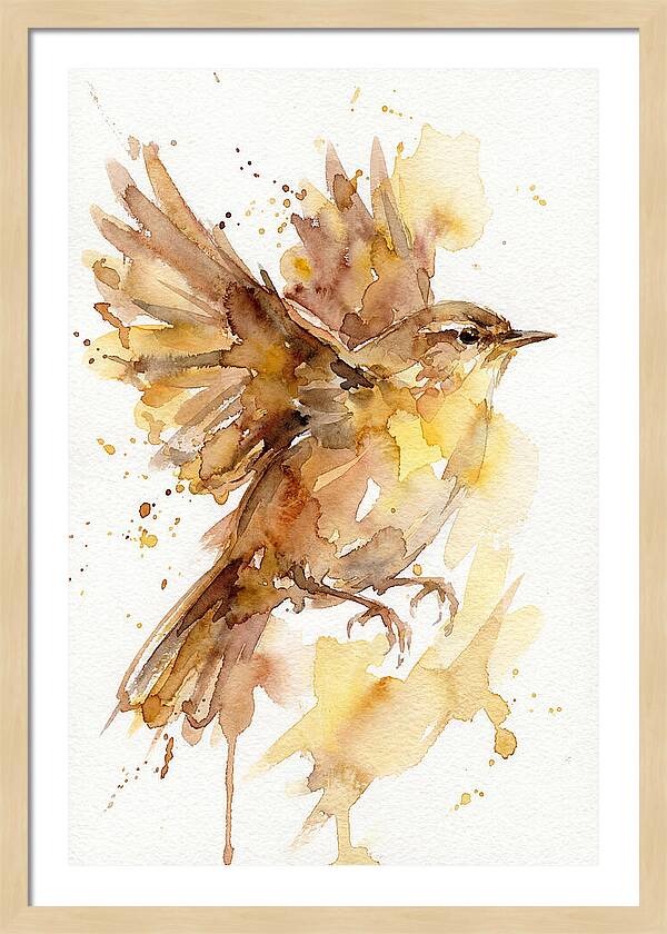 Wren In Flight
