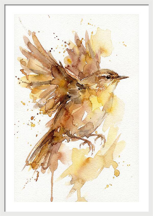 Wren In Flight
