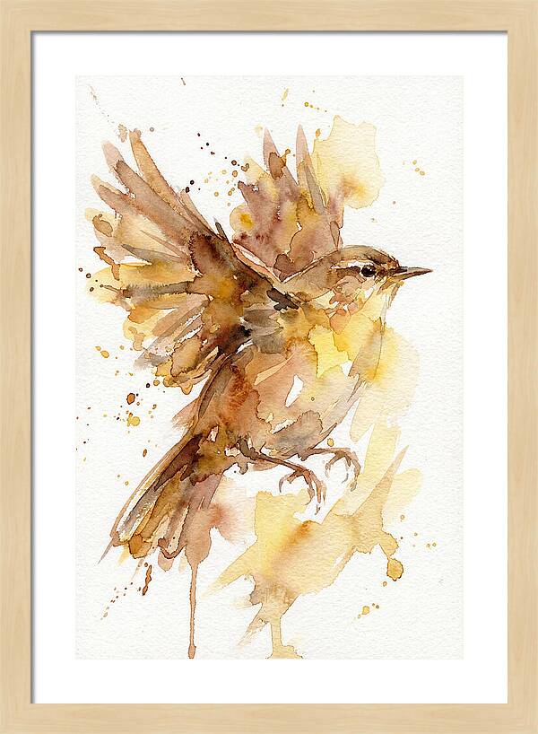 Wren In Flight