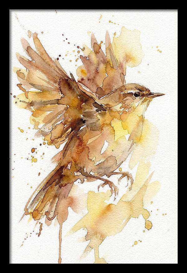 Wren In Flight