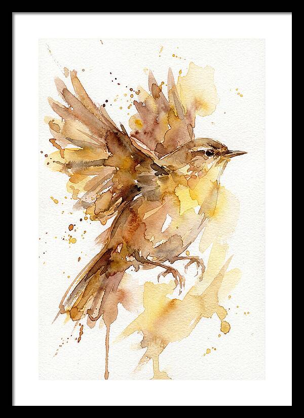 Wren In Flight
