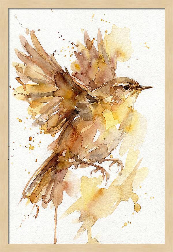 Wren In Flight
