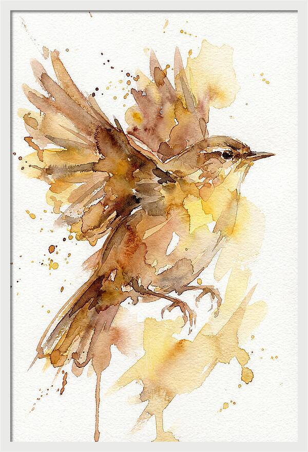 Wren In Flight