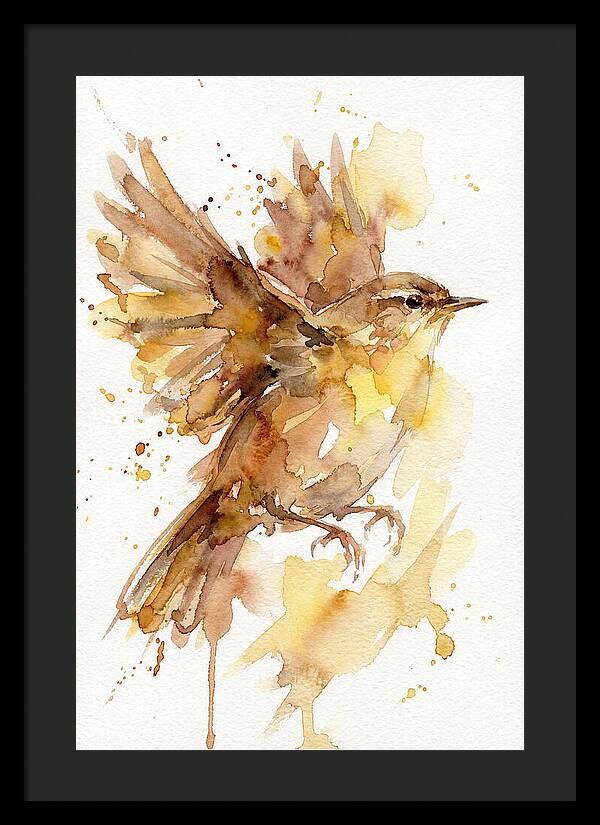 Wren In Flight