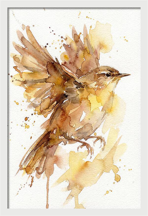 Wren In Flight